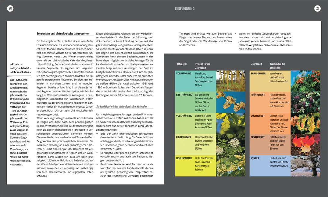 Sample Content (Image) Heilsame Wildpflanzen