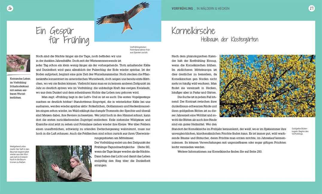 Sample Content (Image) Heilsame Wildpflanzen