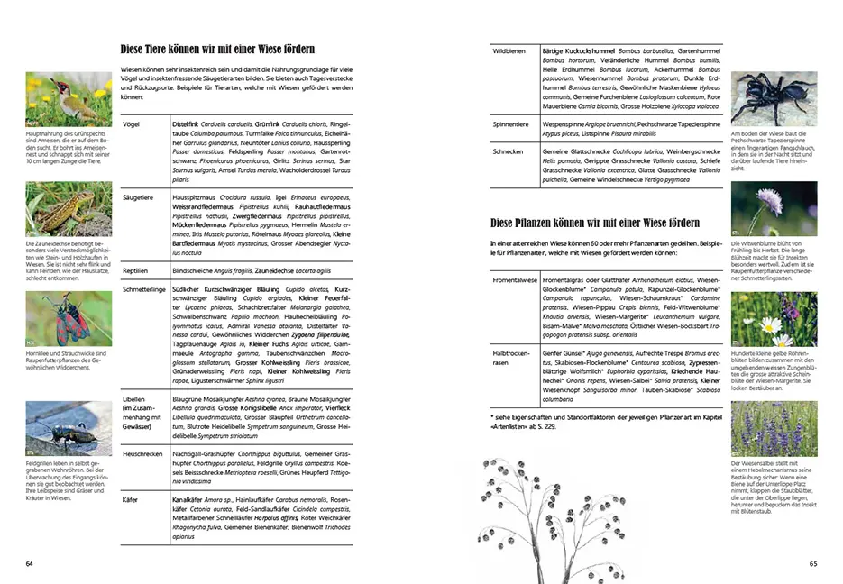 Sample Content (Image) Praxishandbuch Stadtnatur