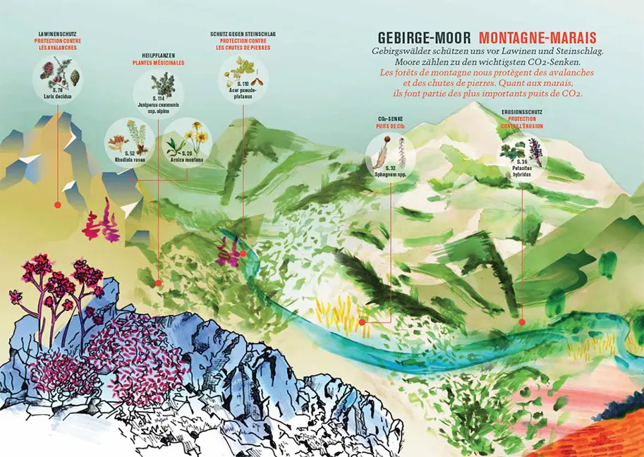 Sample Content (Image) Botanica 2023