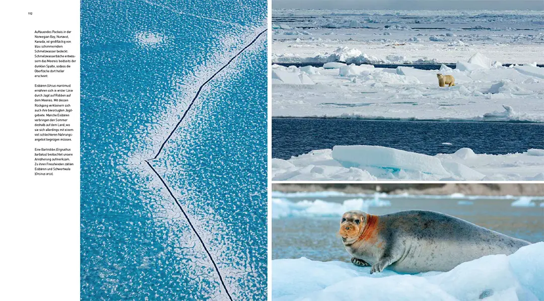 Sample Content (Image) Schnee und Eis