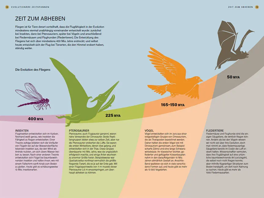 Sample Content (Image) Im Takt der Natur