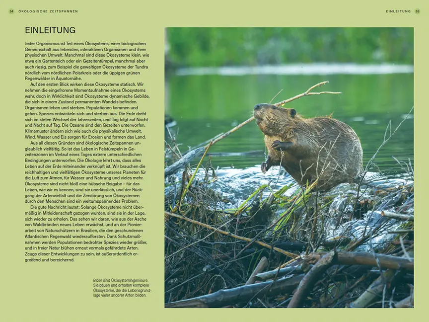 Sample Content (Image) Im Takt der Natur