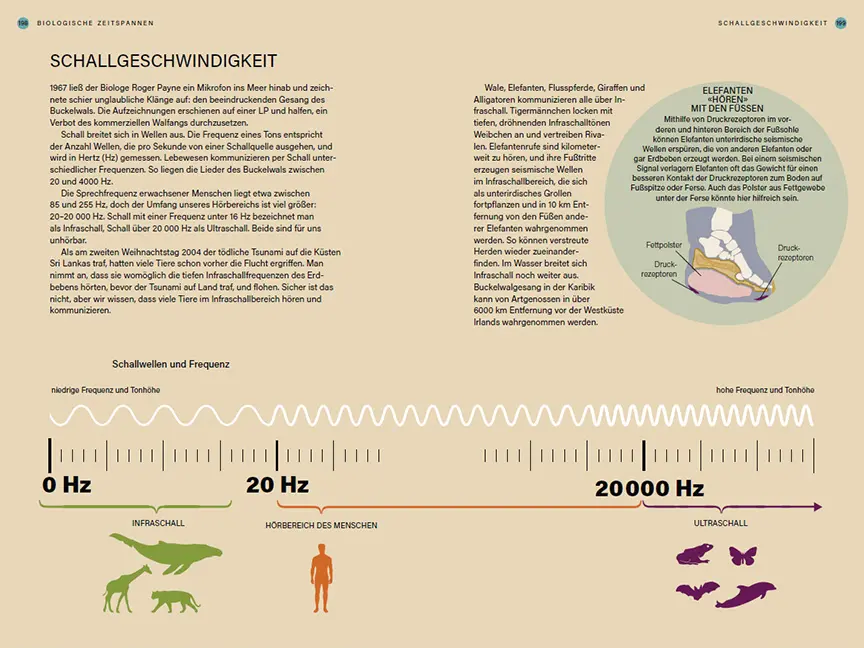 Sample Content (Image) Im Takt der Natur