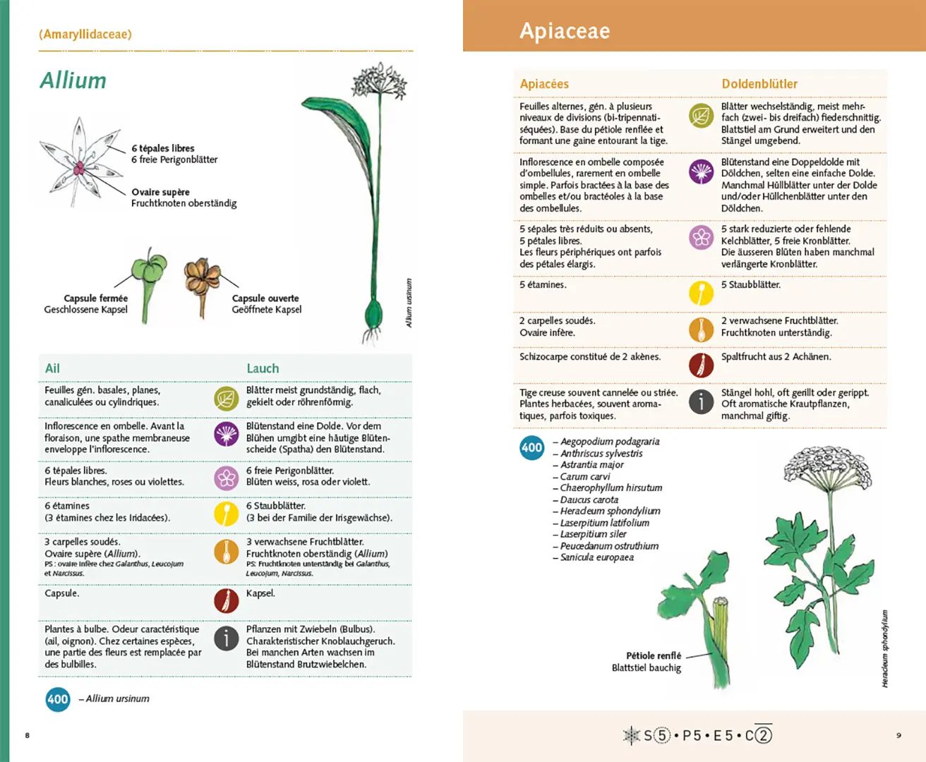 Sample Content (Image) Carnet 400