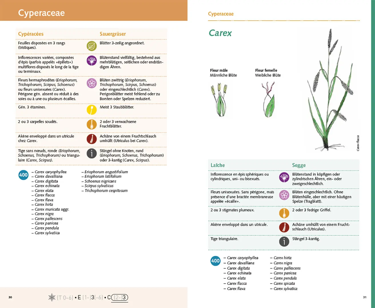 Sample Content (Image) Carnet 400