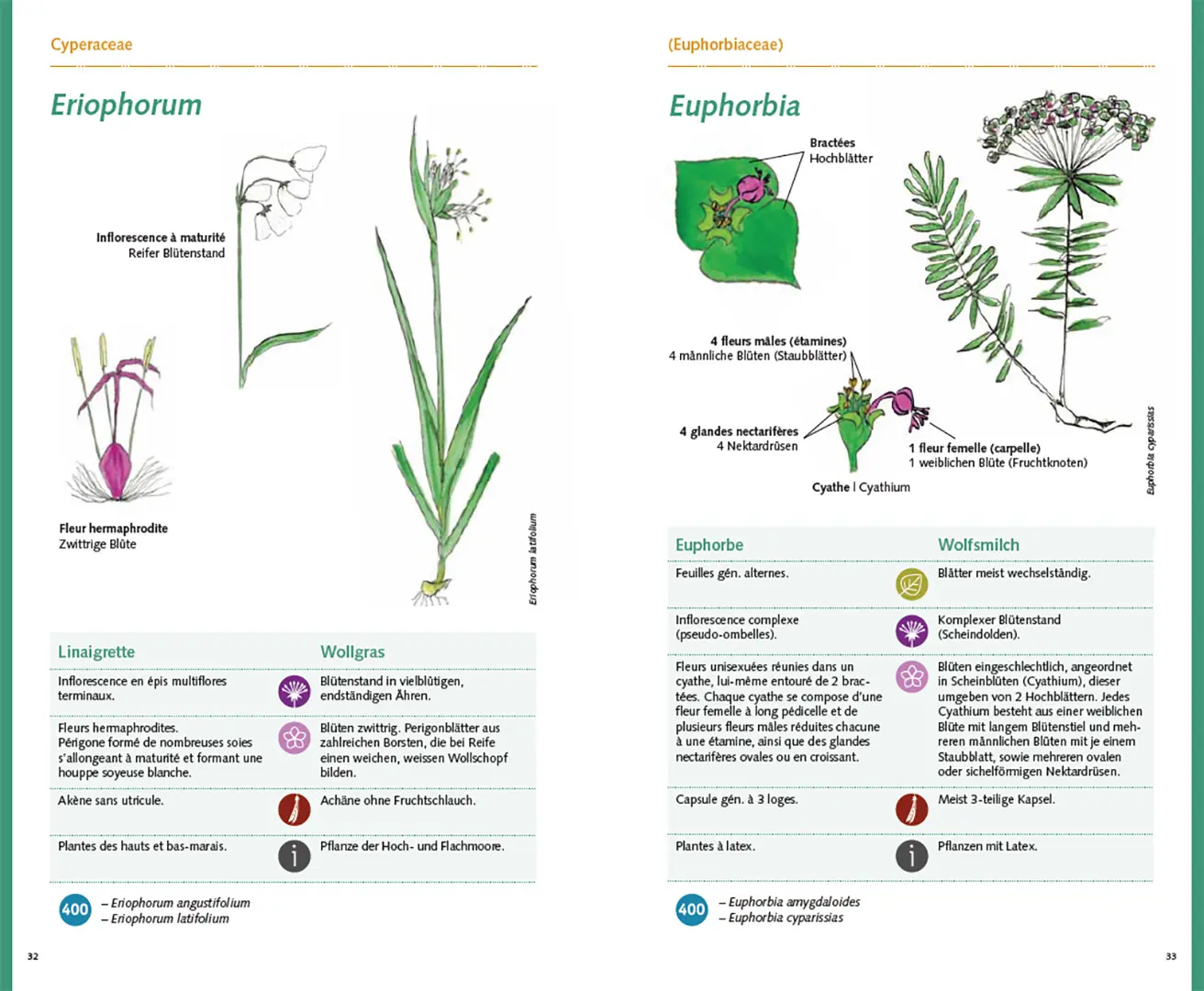 Sample Content (Image) Carnet 400