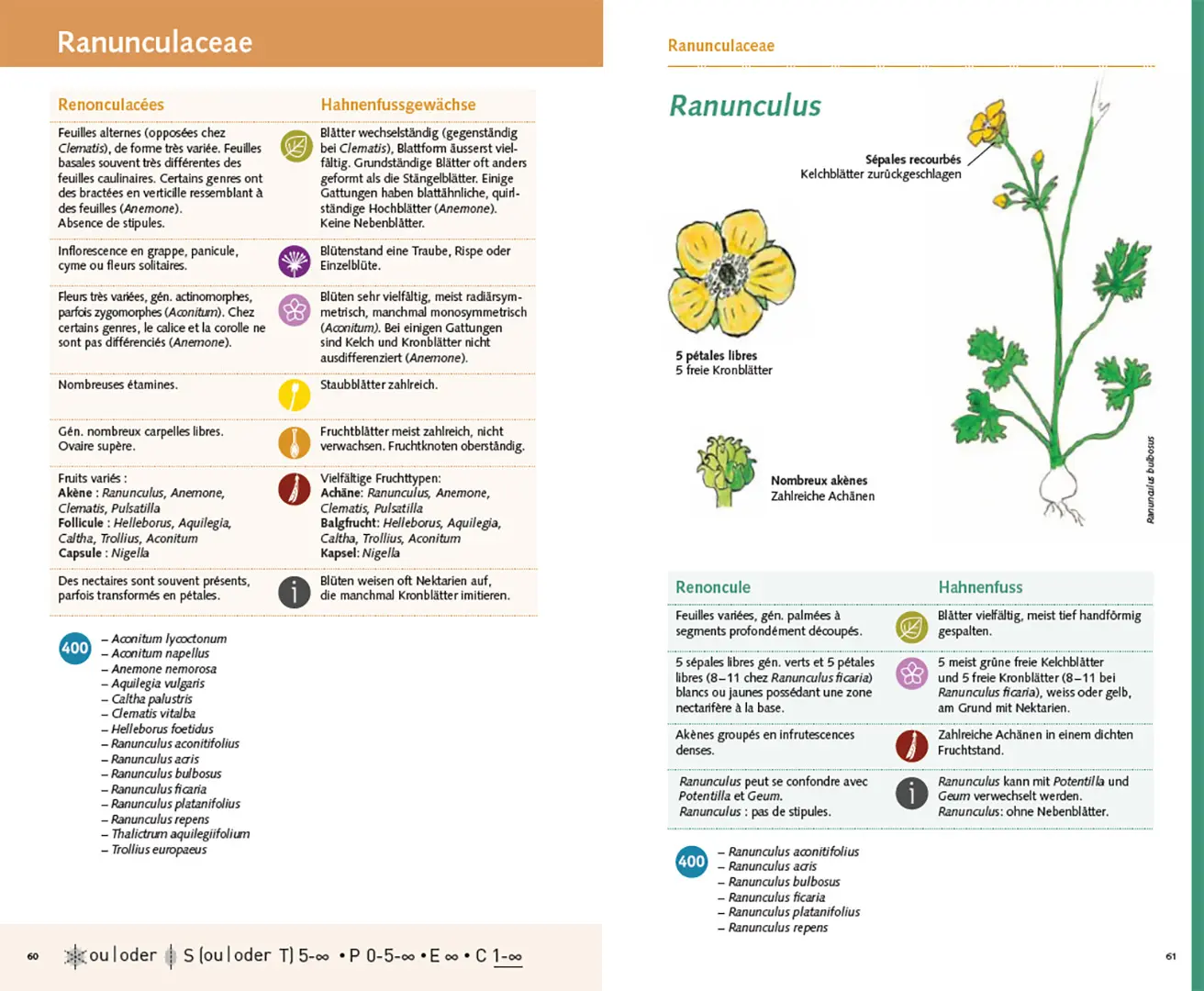 Sample Content (Image) Carnet 400