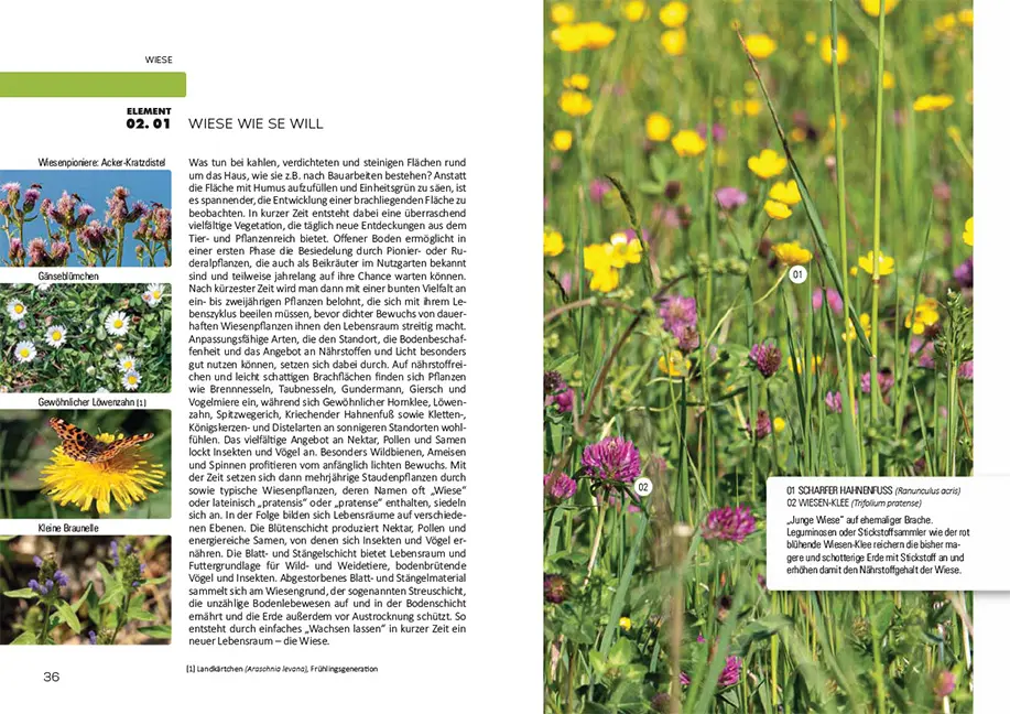 Sample Content (Image) So geht Naturgarten