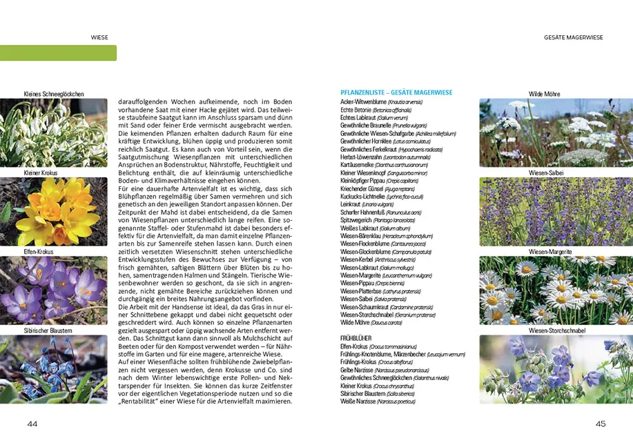 Sample Content (Image) So geht Naturgarten