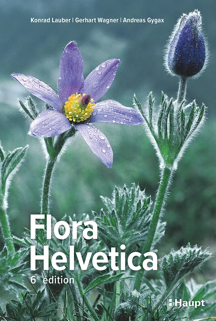 Front Cover Image Flora Helvetica - Flore illustrée de Suisse