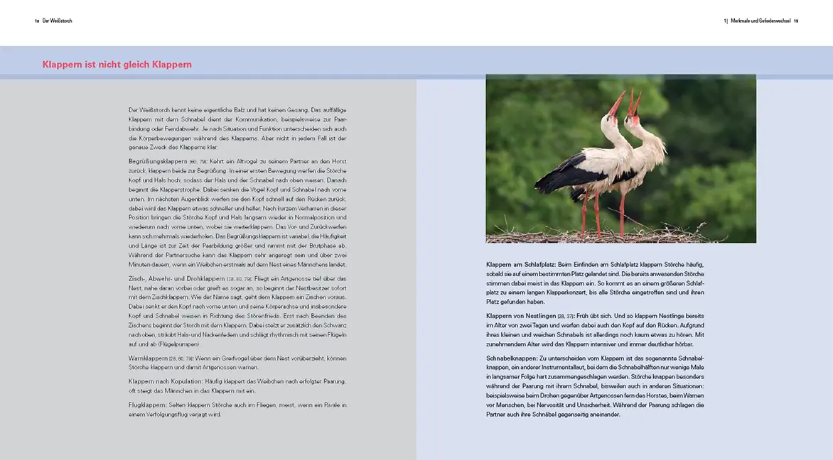 Sample Content (Image) Der Weißstorch