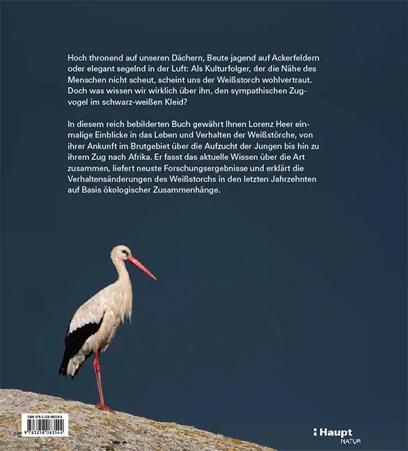 Back Cover Image Der Weißstorch