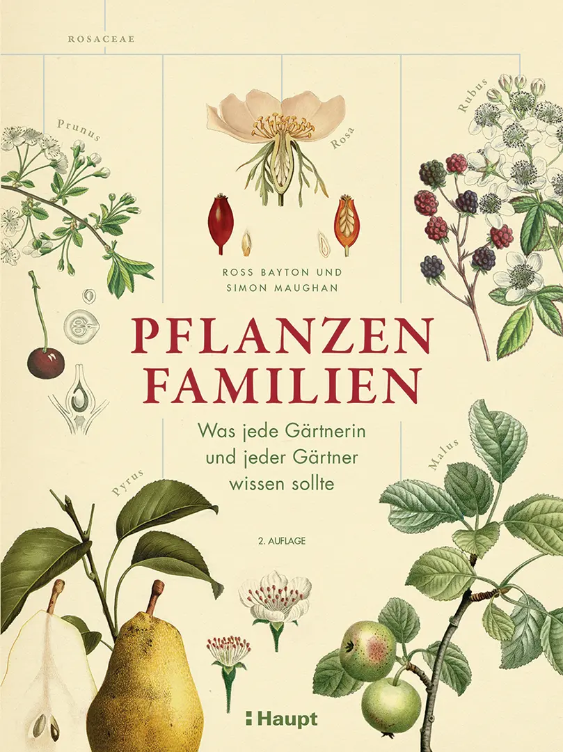 Front Cover Image Pflanzenfamilien
