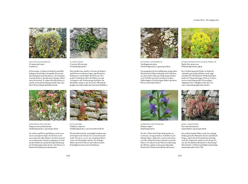 Sample Content (Image) Trockenmauern