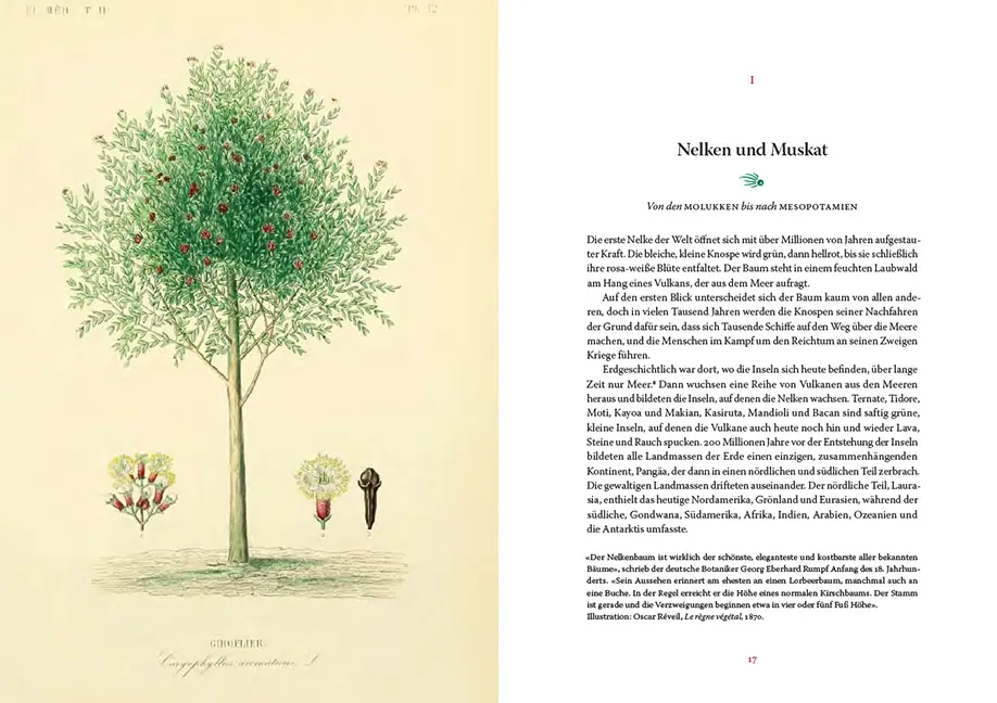 Sample Content (Image) Die Geschichte der Gewürze