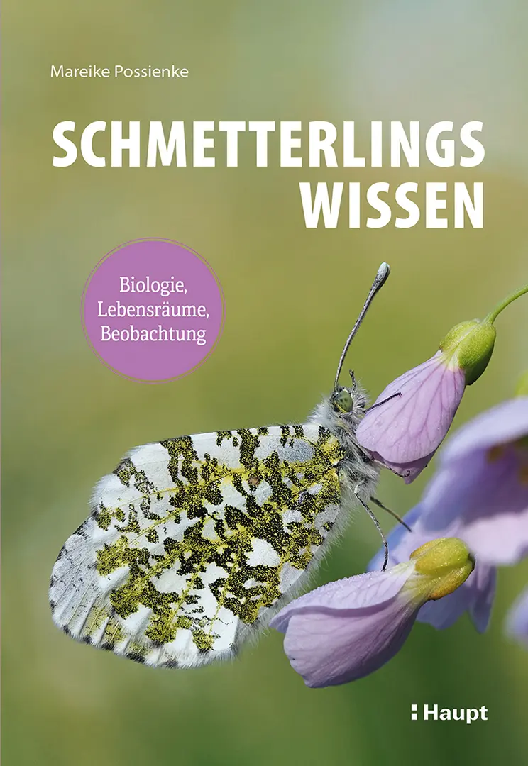 Front Cover Image Schmetterlingswissen