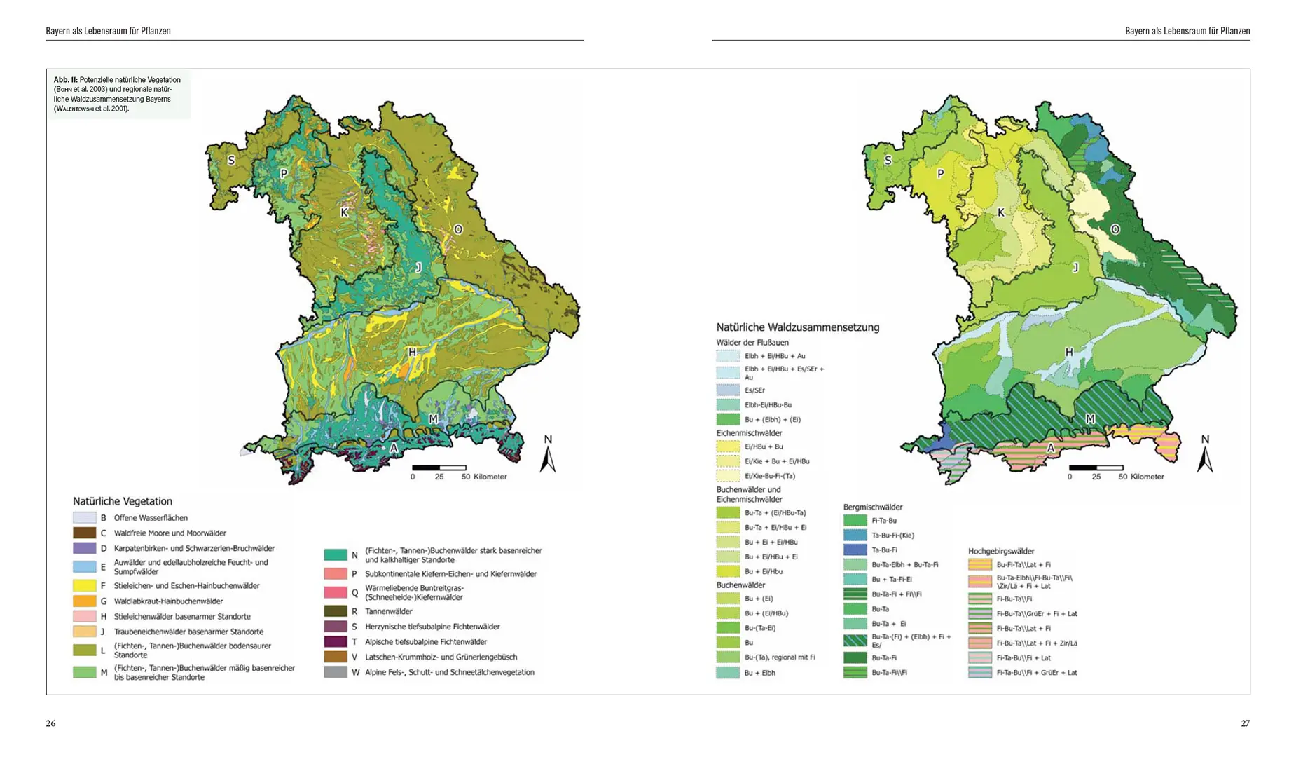 Sample Content (Image) Flora von Bayern