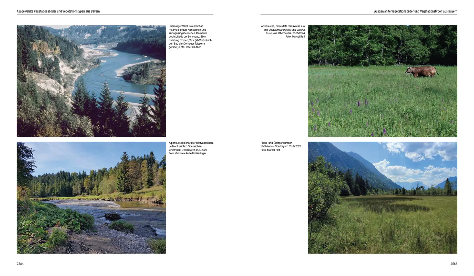 Sample Content (Image) Flora von Bayern