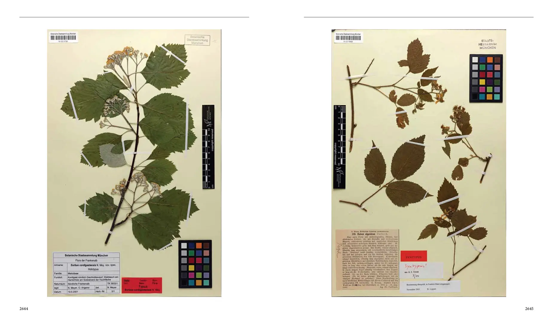 Sample Content (Image) Flora von Bayern