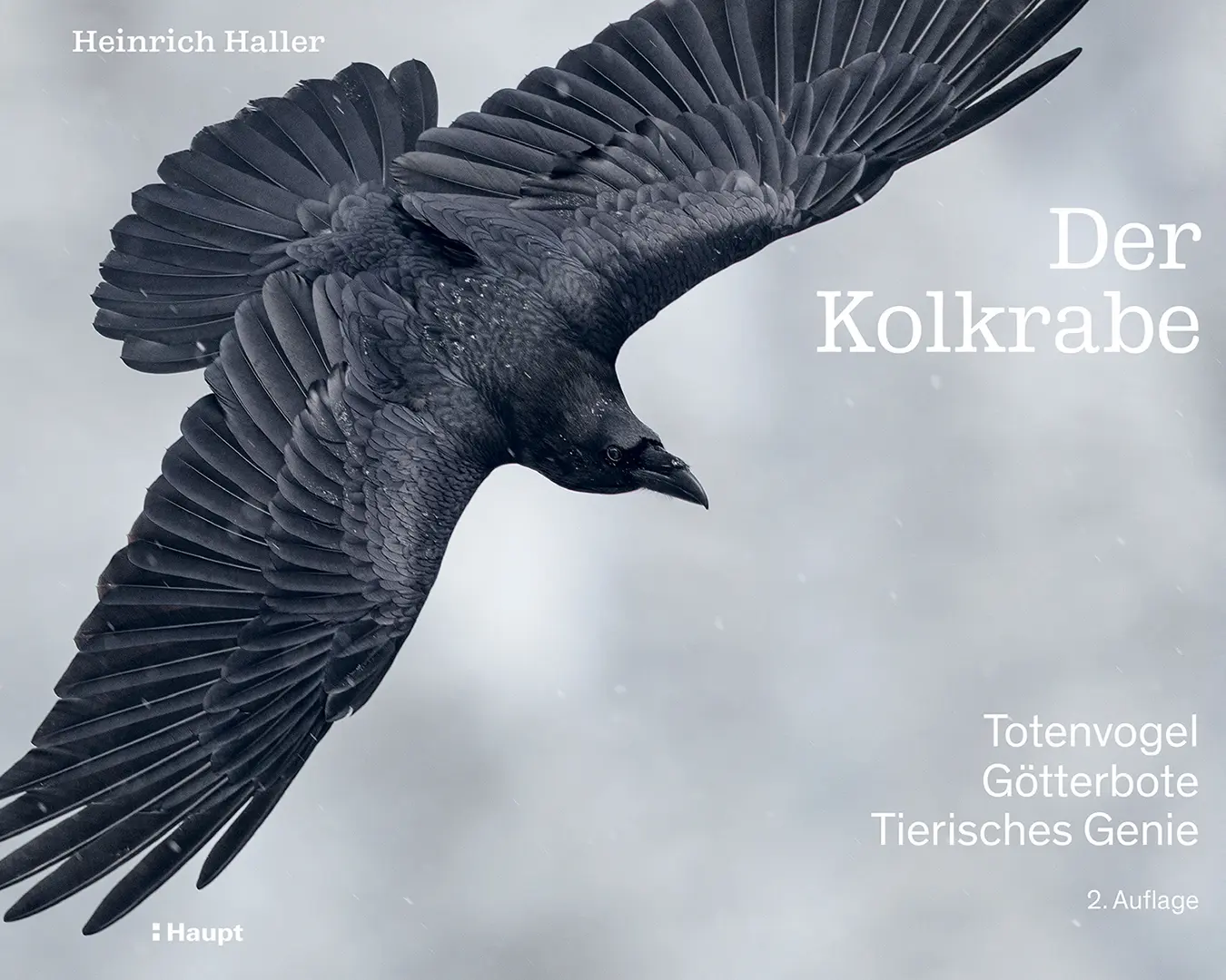 Front Cover Image Der Kolkrabe – Totenvogel, Götterbote, tierisches Genie