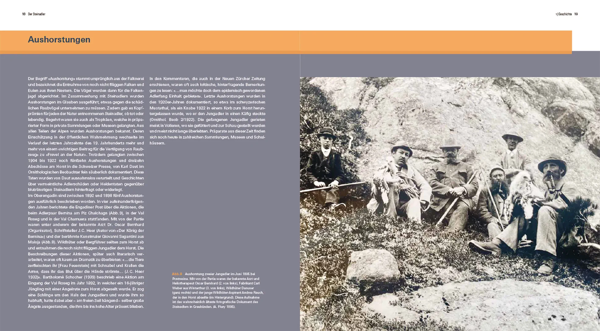 Sample Content (Image) Der Steinadler