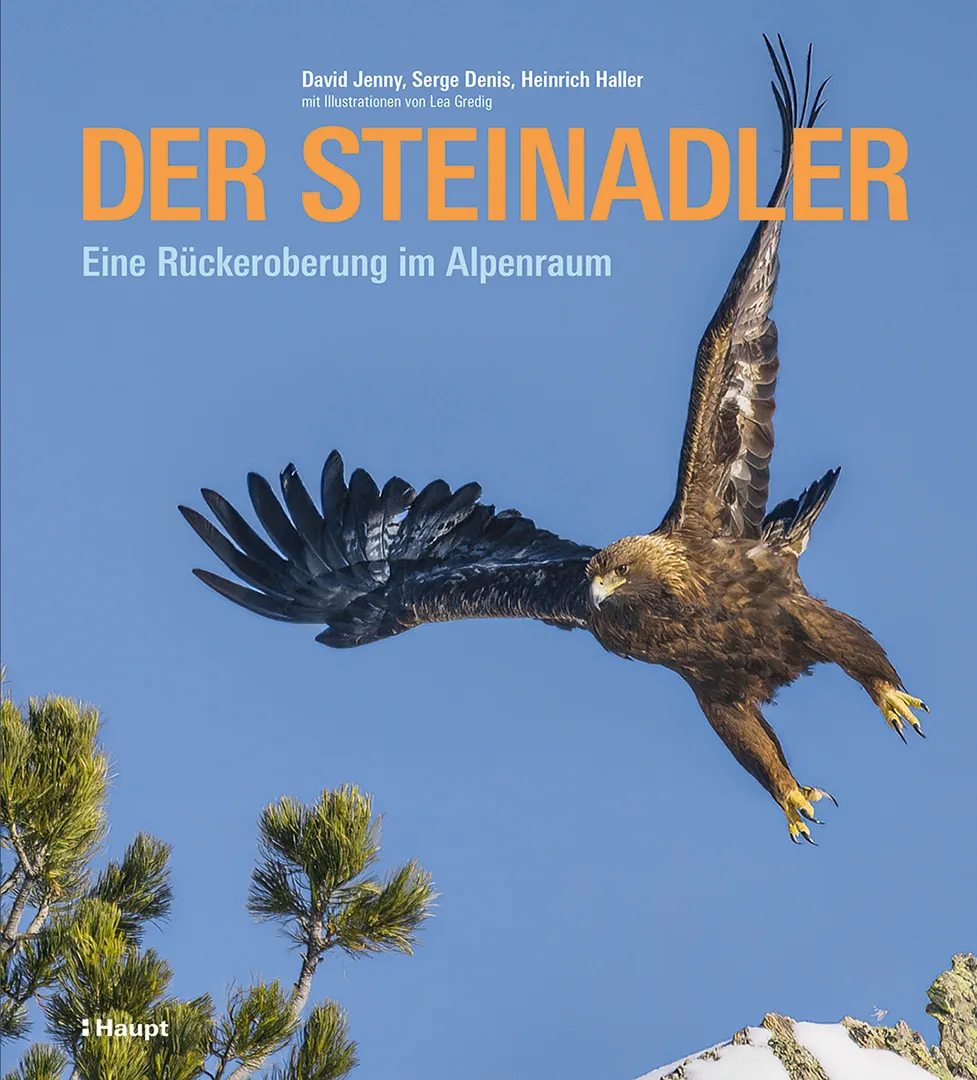 Front Cover Image Der Steinadler