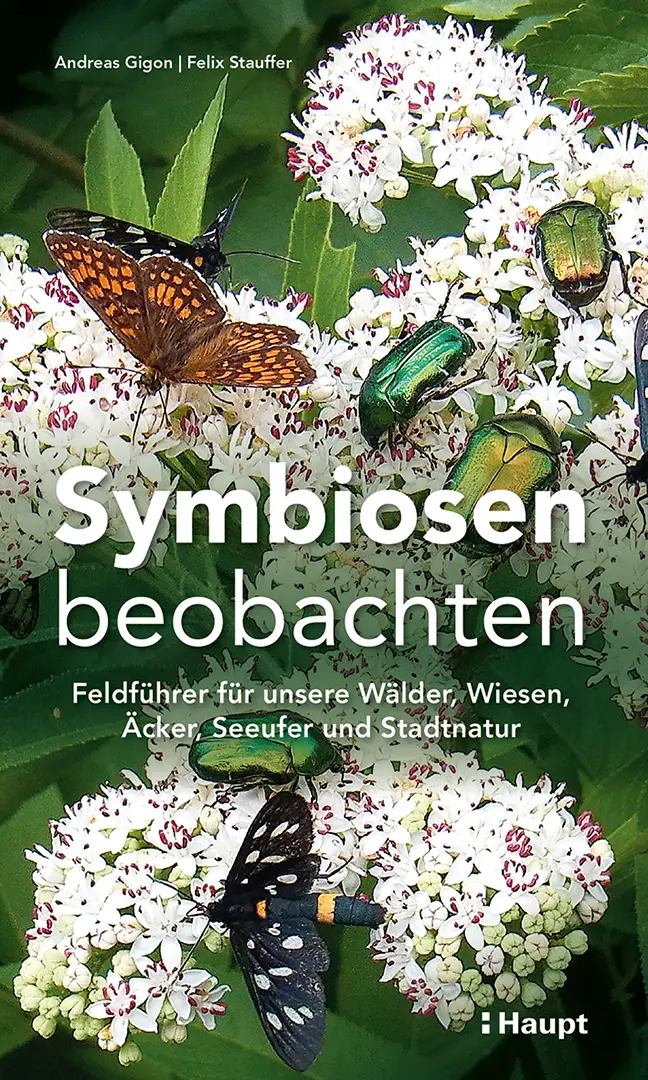 Front Cover Image Symbiosen beobachten