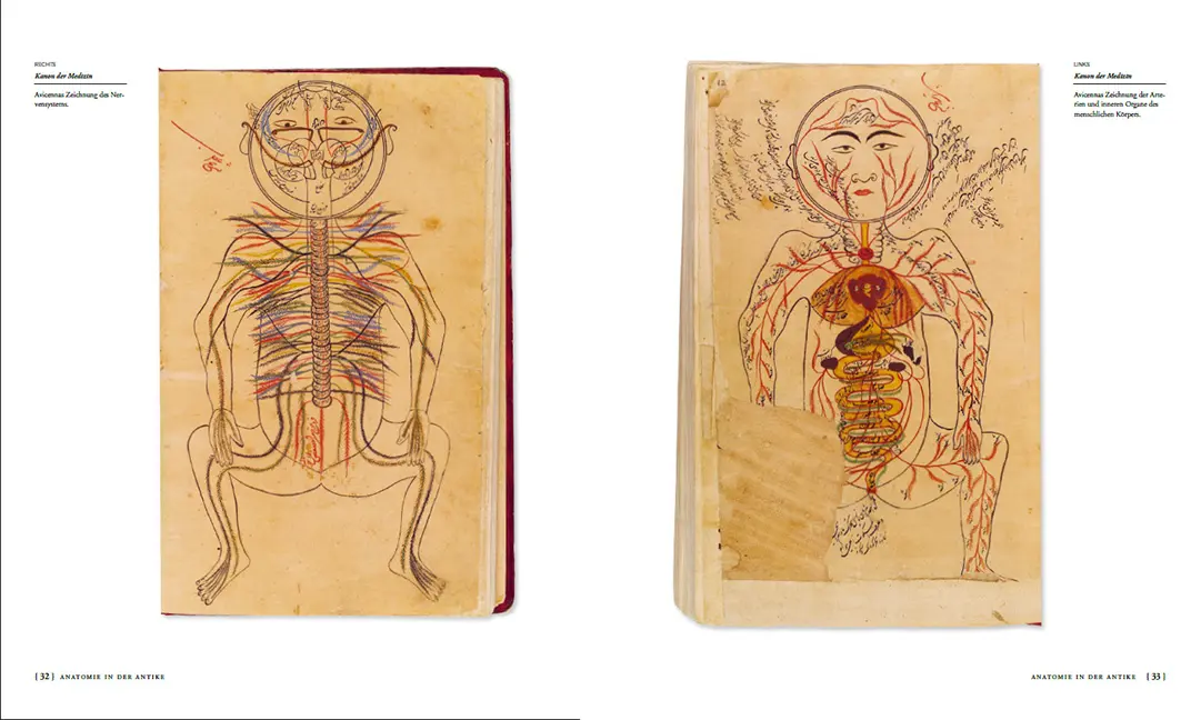 Sample Content (Image) Die Geschichte der Anatomie