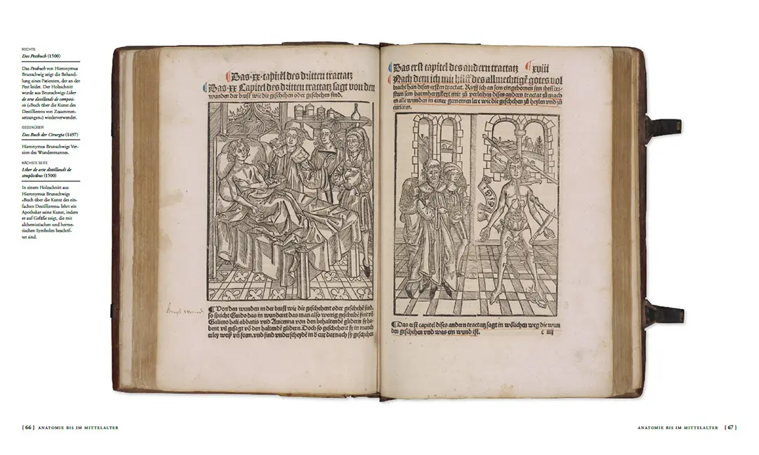 Sample Content (Image) Die Geschichte der Anatomie