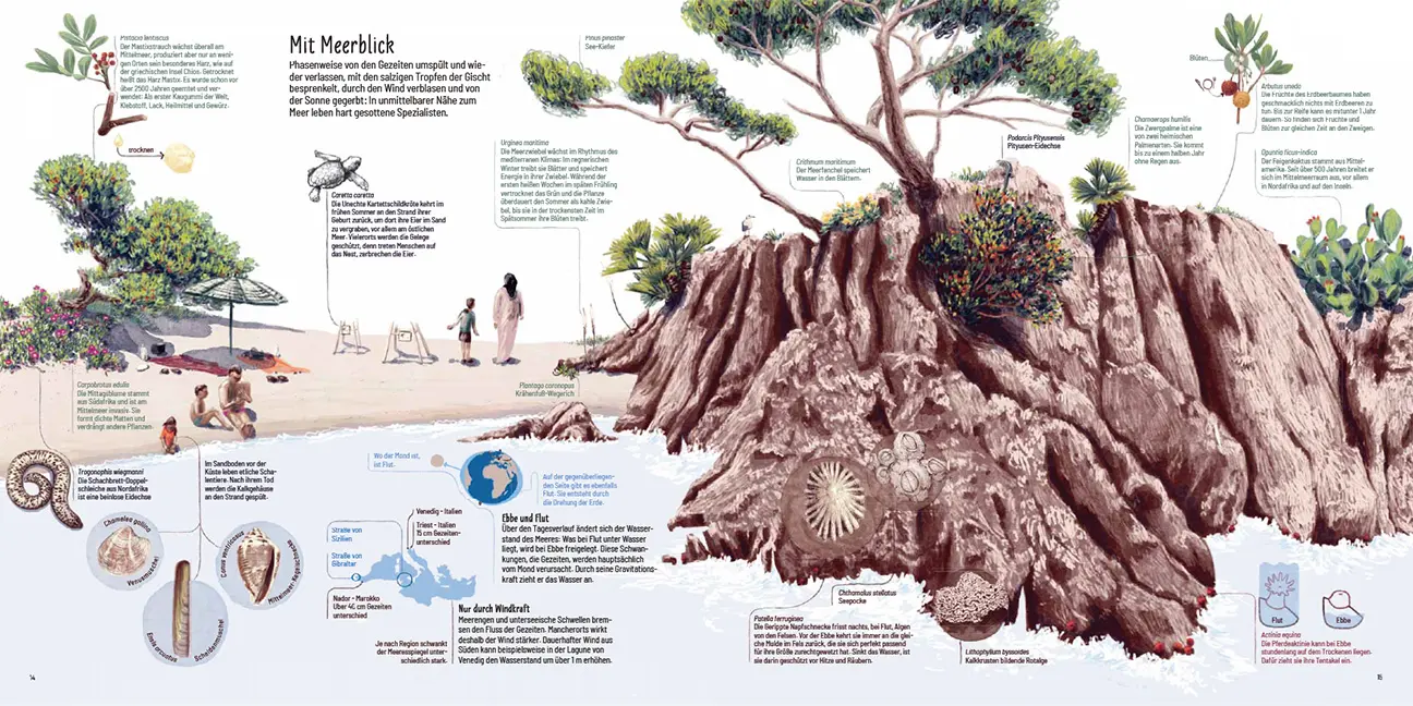 Sample Content (Image) Mittelmeer