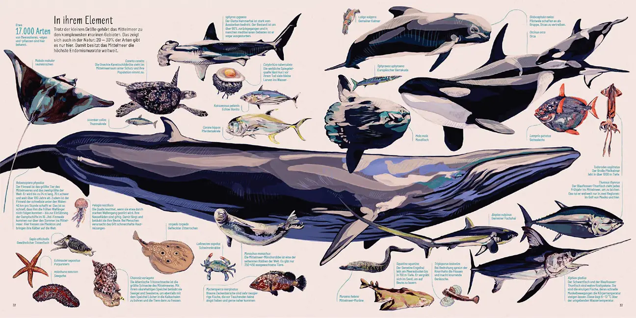 Sample Content (Image) Mittelmeer