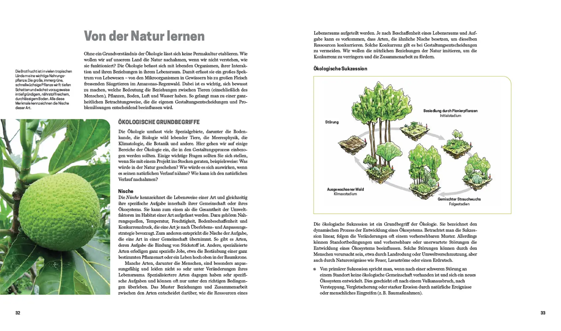 Sample Content (Image) Praxisbuch Permakultur
