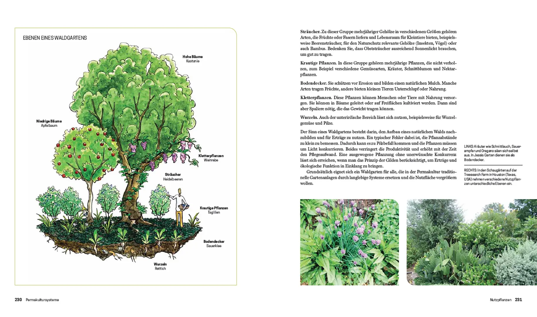 Sample Content (Image) Praxisbuch Permakultur