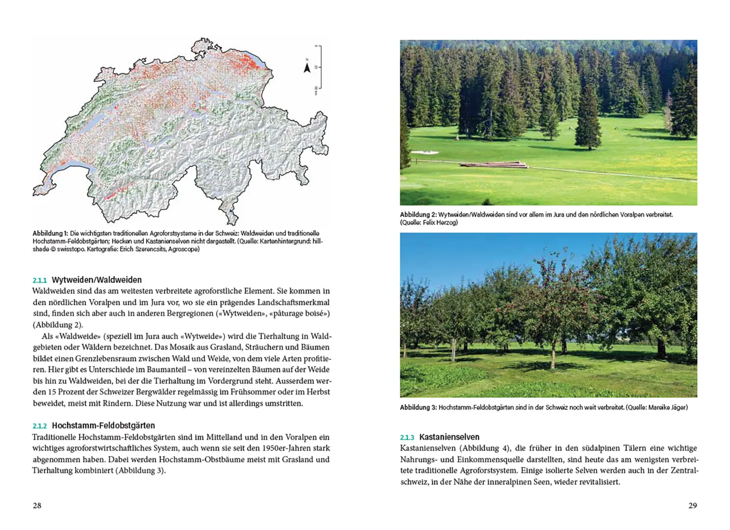 Sample Content (Image) Agroforstpraxis in der Schweiz