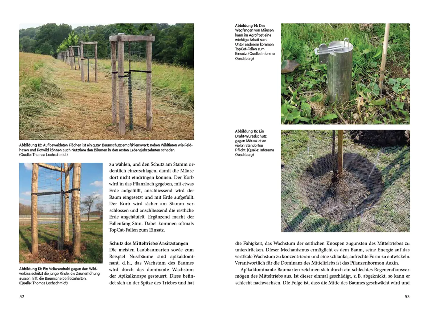 Sample Content (Image) Agroforstpraxis in der Schweiz