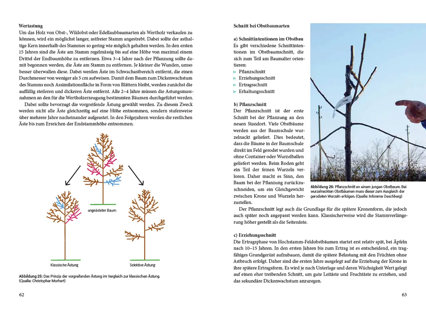 Sample Content (Image) Agroforstpraxis in der Schweiz