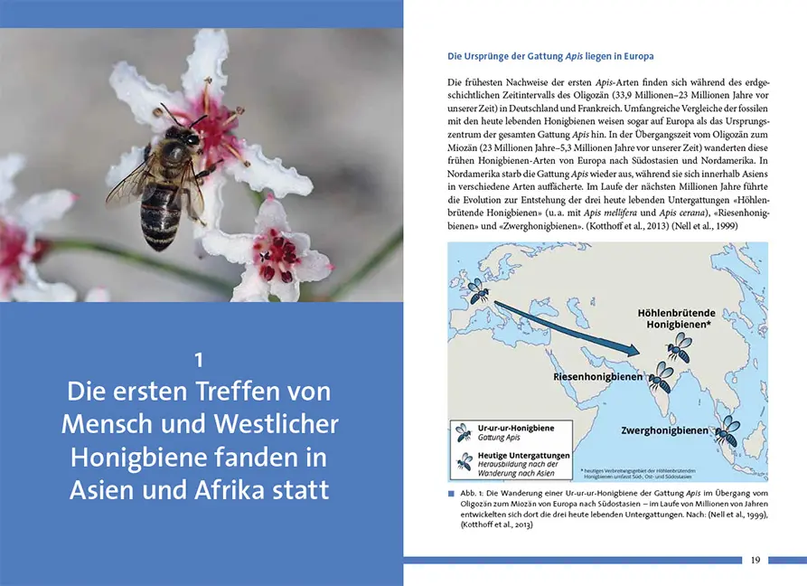 Sample Content (Image) Nachhaltig Imkern mit gesunden Honigbienen