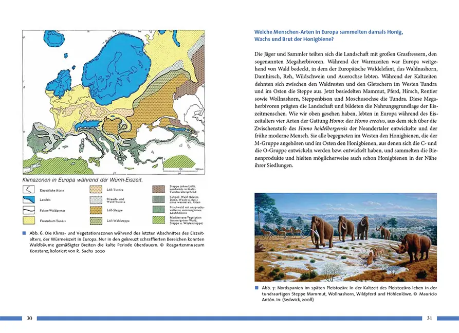 Sample Content (Image) Nachhaltig Imkern mit gesunden Honigbienen