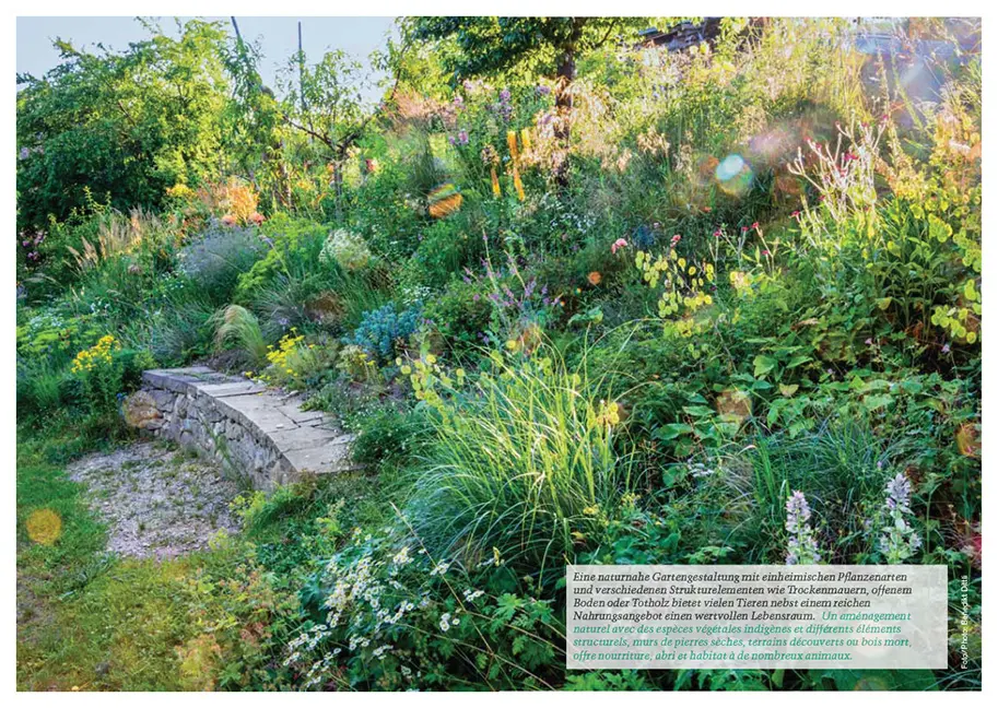 Sample Content (Image) Botanica 2024