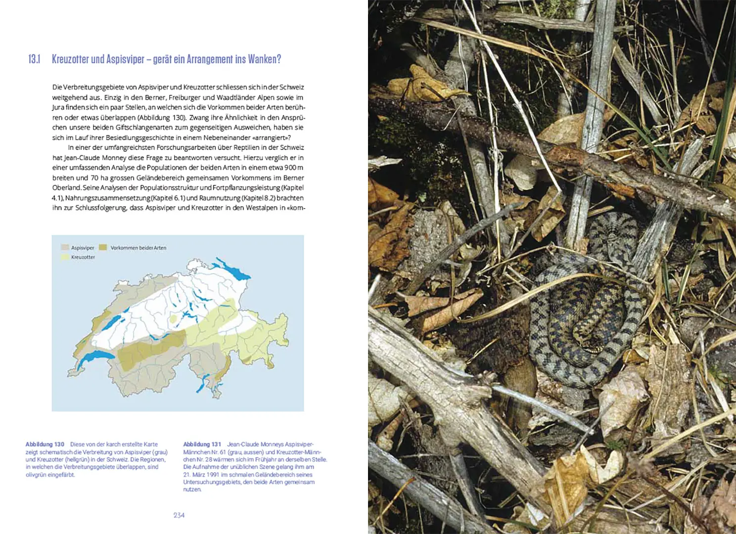 Sample Content (Image) Reptilien in der Schweiz