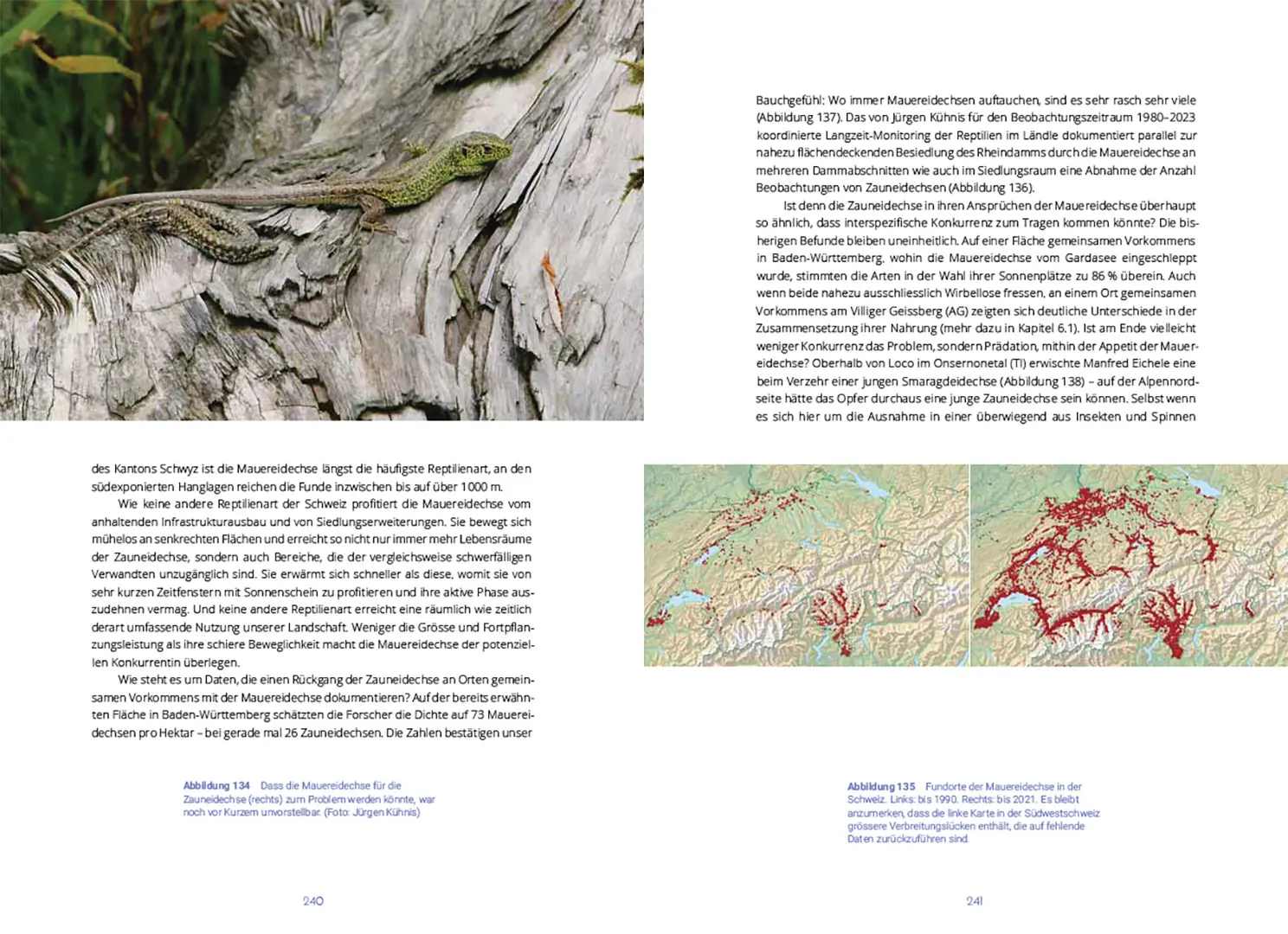 Sample Content (Image) Reptilien in der Schweiz