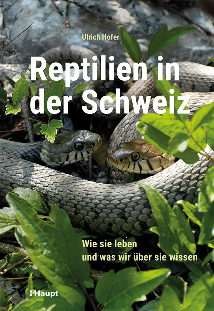 Front Cover Image Reptilien in der Schweiz