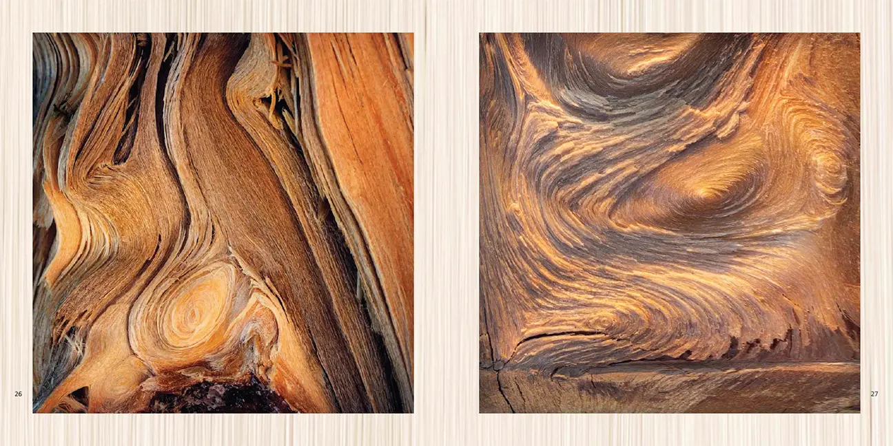 Sample Content (Image) Poesie des Vergehens