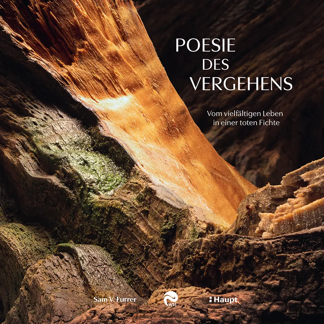 Front Cover Image Poesie des Vergehens