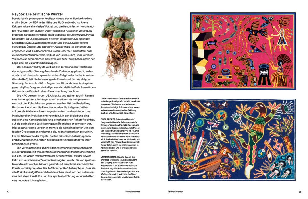 Sample Content (Image) Rausch – Eine Kulturgeschichte der Psychedelika