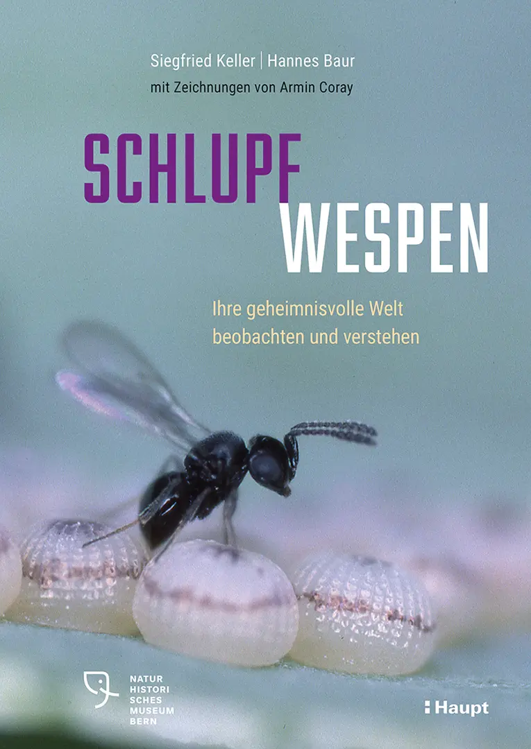 Front Cover Image Schlupfwespen