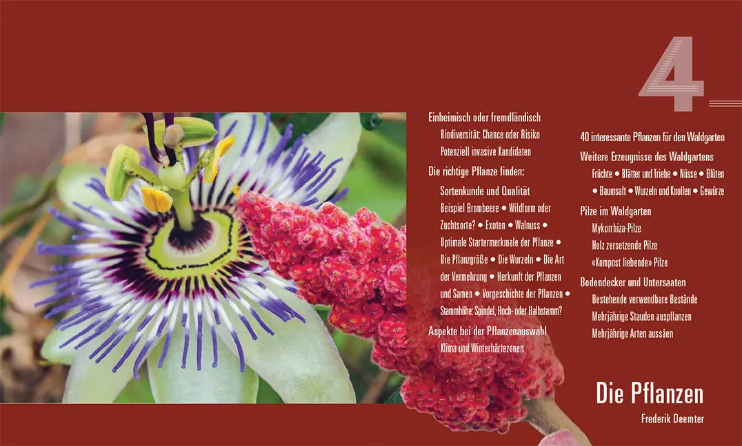 Sample Content (Image) Praxisbuch Waldgarten