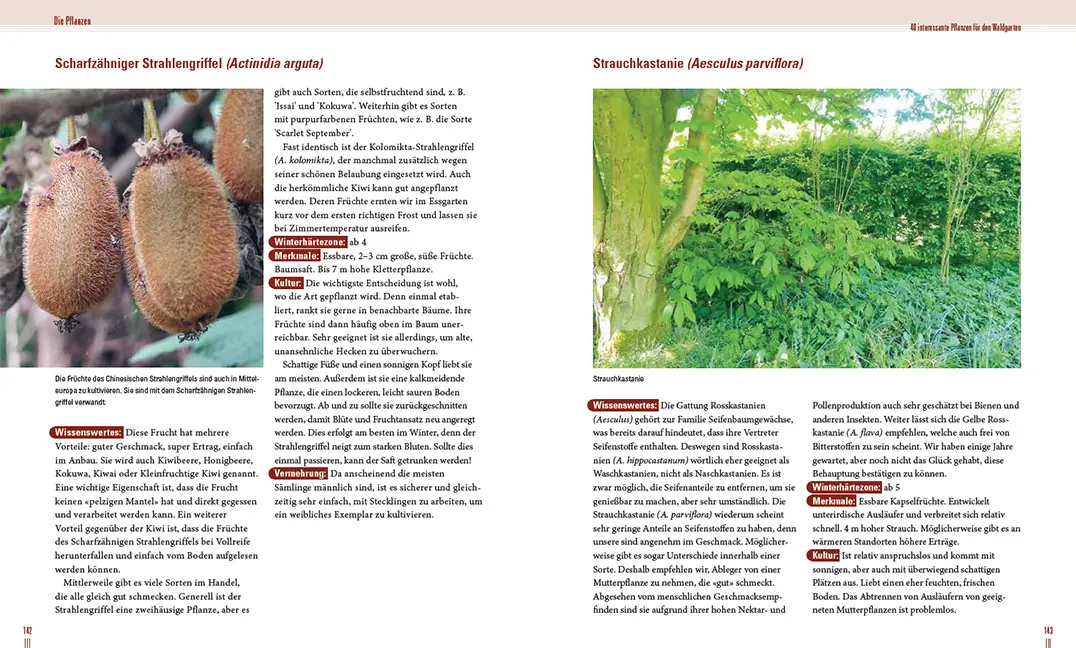 Sample Content (Image) Praxisbuch Waldgarten