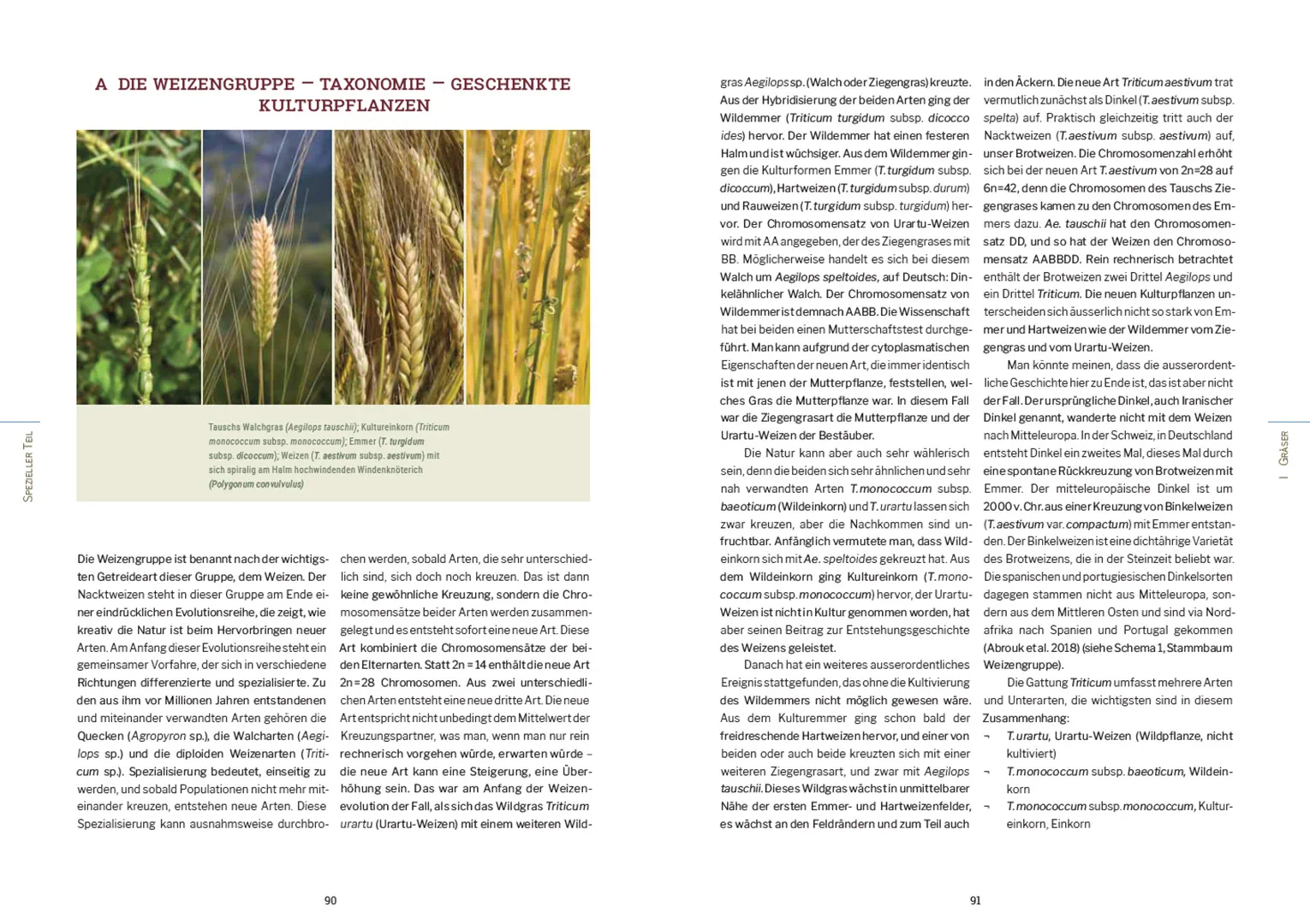 Sample Content (Image) Kulturpflanzen der Schweiz